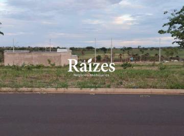 Terreno · 250m² · Terreno residencial de 250 m² à venda no Jardim Sul em Uberlândia