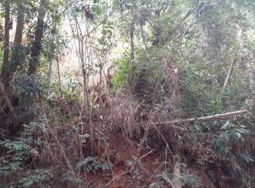 1186310295.jpg · Terreno à venda Centro Santa Branca