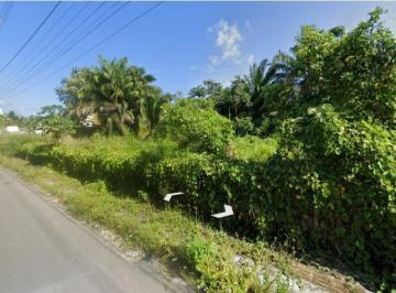 182_7133_1769821708593.jpg · 
                    
                        Terreno Urbano para venda em Camaçari - BA
           