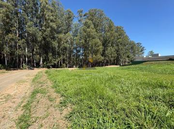 Terreno · 440m² · Ninho Verde 1 Eco Residence - Terreno de 440 m² no Ninho Verde 1, de frente para a área verde preser