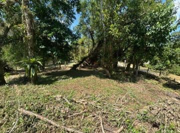 Terreno · 343m² · Excelente Terreno Rural para Casa de Campo em Santo Amaro da Imperatriz/SC!