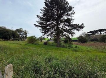 ac88c8d9904f1ddfdb3245857bdbdaf2cf550ece · Terreno à venda, 14000 m² por R$ 14.000.000,00 - Campo de Santana - Curitiba/PR