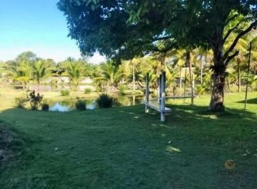 Imagem 1 · Sítio para venda em Camurugi, Guarapari