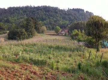 Terreno · 8700m² · Terreno - Nova Petrópolis
