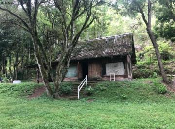 Foto 01 · Sítio - Nova Petrópolis