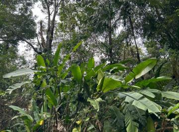Imagem do Imóvel · TERRENO NO BAIRRO MASSAGUAÇÚ EM CARAGUATATUBA