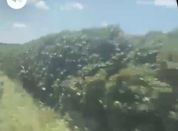 Rural · 5050m² · 20 Quartos · 4 Vagas · VENDO BELÍSSIMA FAZENDA DE R$ 650 milhões COM 5050 HECTARES TODA PLANTA-VENHA FATURAR! 6198150-8787
