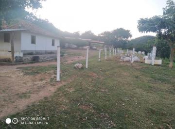 Rural de 3 quartos, Unaí · Fazenda em Únai MG 70 hectares escriturada na BR251
