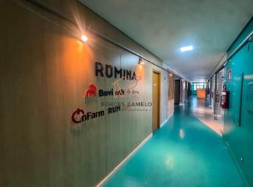 4af650e965ea8ddb29e1f843e6b17da150c0d372 · Andar Corporativo para alugar, 532 m² por R$ 14.800/mês - Sion - Belo Horizonte/MG