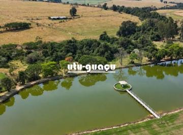1c20b93f4dd94d50c9fa0ed62034fae06dc4af72 · Sítio à venda com 20 alqueires no bairro Retiro, Boituva-SP
