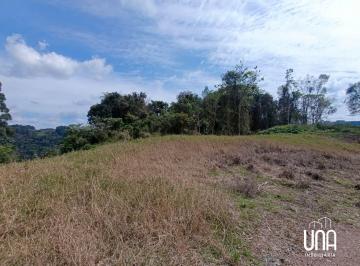 Imagem 2 · Sítio para venda em Santo Antônio de Castro, Carlos Barbosa