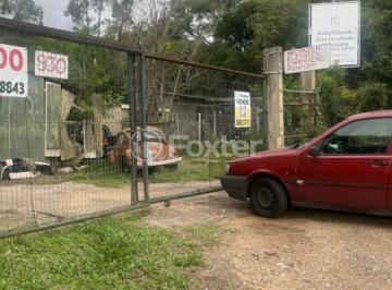 1e017b1f0d7d16d6fa43020fbe7c5839.jpeg · Terreno, 5000 m², em Morro Santana