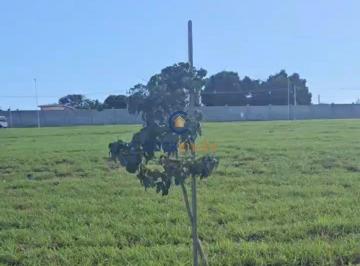 0 · terreno à venda em Reserva Serena Campinas