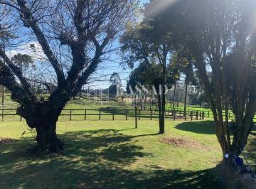 1 · Haras à venda, 171.520 m² - Colônia Murici - São José dos Pinhais/PR