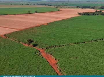 Imóvel Rural 59 ha (Estância Palmital) - Guaíra - SP - Foto [0] · Imóvel Rural 59 ha (Estância Palmital) - Guaíra - SP