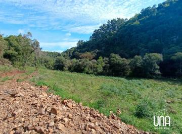Imagem 1 · Sítio para venda em Santo Antônio de Castro, Carlos Barbosa
