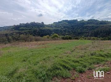 Imagem 1 · Sítio para venda em Santo Antônio de Castro, Carlos Barbosa