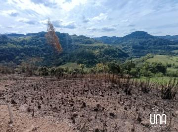 Imagem 1 · Sítio para venda em Santo Antônio de Castro, Carlos Barbosa