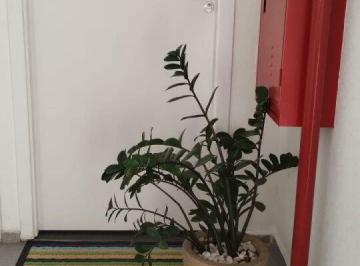 Apartamento · 39m² · 2 Quartos · Apartamento á venda Zona Norte (Jardim Líder) 2 dormitórios 1 banheiro