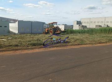 7c3f697f1dcf8fa89dd44142bac5dfac3d1a3cc6 · Terreno à venda, 1000 m² - Europark Comercial - Indaiatuba/SP