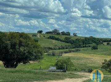 Rural · 40m² · FAZENDA À VENDA EM PORTO FELIZ