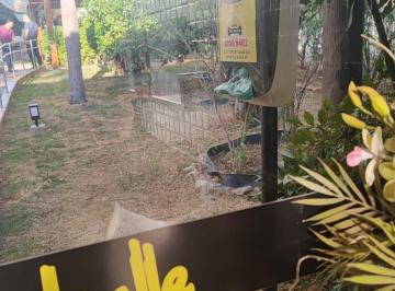 Apartamento · 80m² · 3 Quartos · 1 Vaga · MARIAH IMOVEIS VENDE APARTAMENTO DE ALTO PADRÃO NO SETOR LESTE GAMA DF