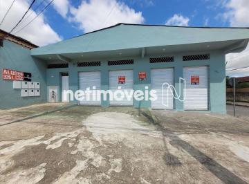 d134d524-adff-4444-abb1-ad4704852f2a.webp · Loja