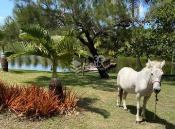 Rural · 600m² · 4 Quartos · 12 Vagas · Sítio em Pratiús, Pindoretama/CE de 600m² 4 quartos à venda por R$ 3.700.000,00