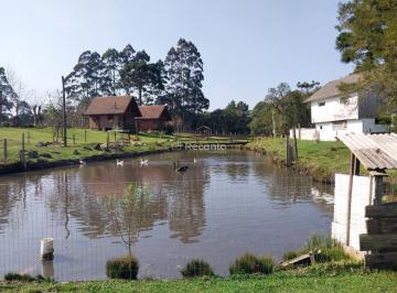 Rural · 102500m² · 1 Quarto · Sítio em Caçador, Canela/RS de 102500m² 1 quartos à venda por R$ 3.600.000,00