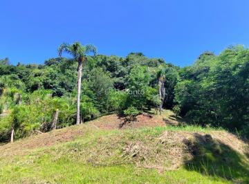 Terreno · 40000m² · Terreno em Centro, Nova Petrópolis/RS de 40000m² à venda por R$ 550.000,00