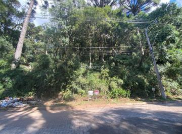 Terreno · 1122m² · Terreno em Vila Suzana, Canela/RS de 1122m² à venda por R$ 954.000,00