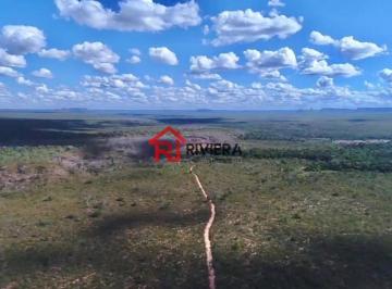 Foto 13 · Fazenda à venda: 1.792 hectares Alto Parnaíba-MA