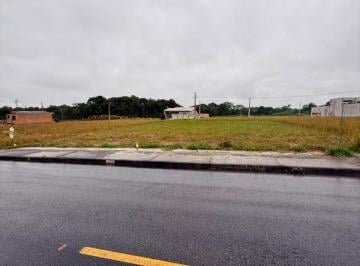 Foto 01 · Terreno, Paulas, São Francisco do Sul, SC