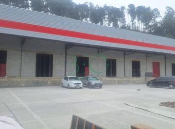 Photo 1 · Galpão para alugar, 1000 m² por R$ 40.000,00/mês - Vila Galvão - Guarulhos/SP