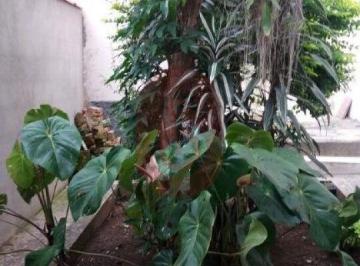 Terreno · 384m² · Terreno na Vila Formosa