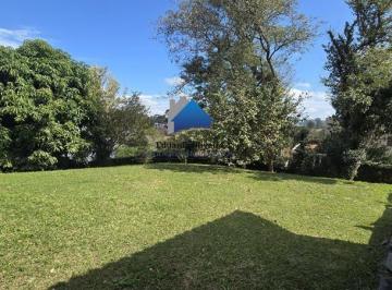 202610021139441083.jpg · terreno com edicula e piscina