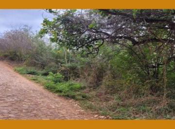 Terreno · TERRENO PRÓPRIO PARA CONSTRUÇÃO, NA RUA MOACIR GONDIM LÓSSIO, MURITI, CRATO/CE.