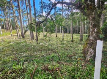 Terreno · 3000m² · Terreno à venda no bairro Centro - Campina Grande do Sul/PR