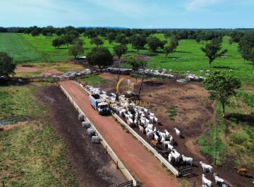 2405a1c7cb5e3b8bd391dfa14fbf9cf68b4150f1 · Fazenda pecuária + de 2.400 hectares a venda na região de Porungatu em Goiás!