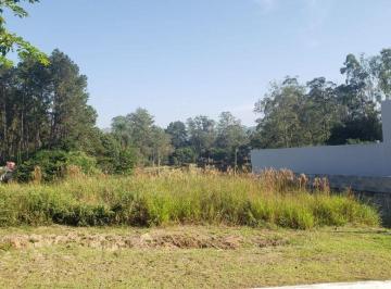 7f5effb1400c26b44c6b88fc30cfdd7bbb9a36e2 · Terreno à venda, 500 m² por R$ 375.000,00 - Centro (Cotia) - Cotia/SP