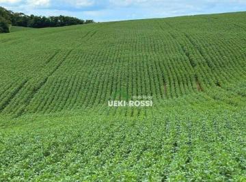 Imagem 1 · Fazenda para venda em Guaravera, Londrina