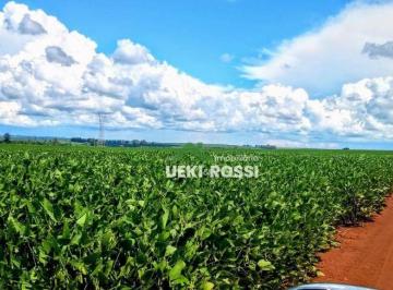 Imagem 1 · Fazenda para venda em Centro, Sertanópolis