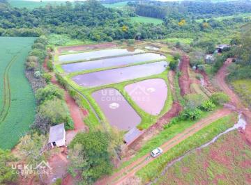 Imagem 1 · Fazenda para venda em Centro, Apucarana