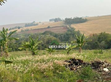 Imagem 1 · Sítio para venda em Paiquerê, Londrina
