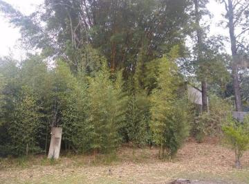 Terreno · 250m² · 3 Quartos · Chácara para venda em São Bento de 250.00m² com 3 Quartos e 1 Suite