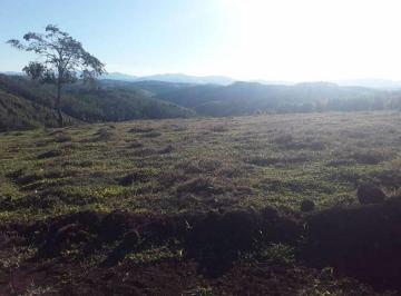 Terreno · 1616m² · Terreno para venda em Chácaras Reunidas Igarapés de 1616.00m²