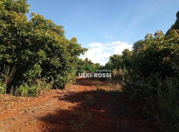 Imagem 1 · Sítio para venda em Guairacá, Londrina