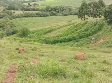 Imagem 1 · Sítio para venda em Centro, Jacuí