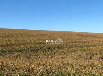 Imagem 1 · Fazenda para venda em Centro, Sertanópolis