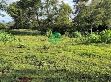 Imagem 1 · Chácara para venda em Jardim Acaray, Foz do Iguaçu